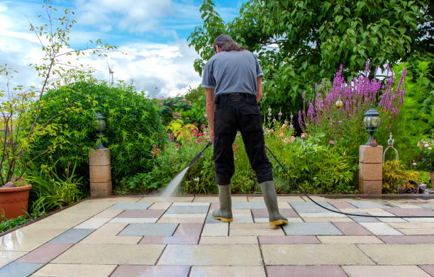 Best Animal Enclosure Cleaning  in Kingsville, TX